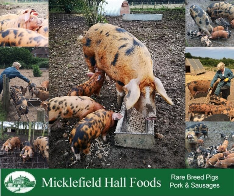 Micklefield Hall Foods 1 768x644